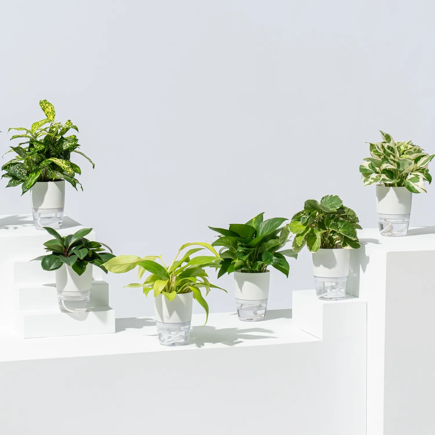 室内栽培水耕栽培ココ土耕 Flawless Finish 4L 【公式通販】