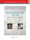Neuroanatomy Atlas in Clinical Context: Structures, Sections, Systems, and Syndromes (IE)