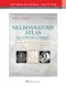 (舊版特價-恕不退換)Neuroanatomy Atlas in Clinical Context: Structures, Sections, Systems, and Syndromes (IE)