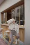 ✈艾朵咖啡館的日常-韓國抽繩短版毛毛外套(有墊肩)