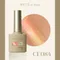 ARTiS di Voce 貓眼甲油膠8g CE084