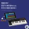 【SAMSON】電子琴 MIDI鍵盤 Graphite M25 iPAD 電鋼琴 USB (限宅配)