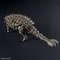 PLANNOSAURUS 06 甲龍 Ankylosaurus 恐龍組裝模型 Bandai