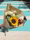 A5-85│畢業花束│新北市花店│蘆洲花店│花束│訂花│送花