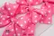 糖霜樂章蝴蝶結(PR154-1-PTM064/Frosting Melody Bow) ｜點點｜粉色｜手作｜布置｜春天｜緞帶用途｜髮飾｜復活節