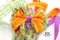 <特惠套組>面具嘉年華套組/禮盒包裝/蝴蝶結/手工材料/緞帶用途/緞帶批發
