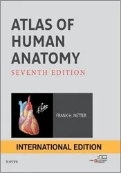 舊版特價-恕不退換)Atlas of Human Anatomy (IE)