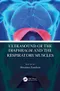 Ultrasound of the Diaphragm and the Respiratory Muscles