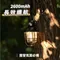 [ WellHike ]  鎖扣松果燈 (3色)│ 1/4 吋國際通用螺孔 露營燈 照明燈 戶外燈 氣氛燈 LED燈