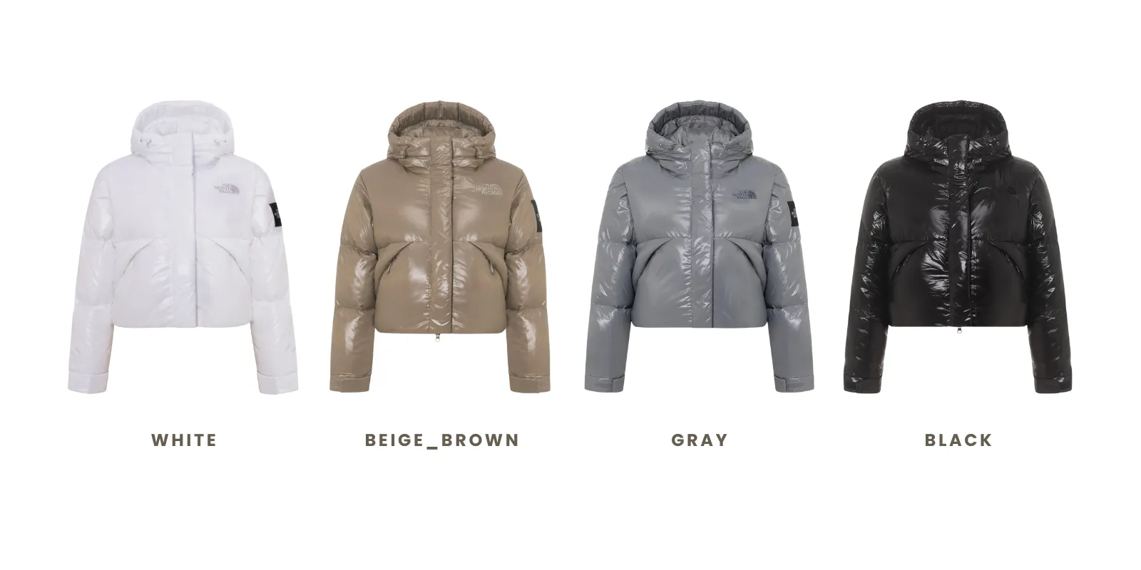 THE NORTH FACE W'S GLOSSY ELBERON RDS DOWN JACKET 女款羽絨