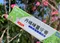 丹晴楝薑牙膏 天然 口腔防菌 保護 牙齦健康 清新口氣
