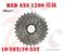 SRAM RED AXS 12速 XG-1290 10-28T/10-33T 飛輪 (散裝) XDR規格 新版銀色/彩色