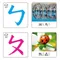 學習筆順觸感識字卡系列