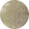 ARTiS di Voce 彩色甲油膠 GL 100