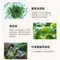 Hybolar 緊緻靚膚霜 30g