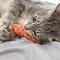 PETCIRCLE｜寵物繩結胡蘿蔔