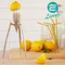 【缺貨】ALESSI 外星人榨汁器(白) JUICY SALIF LEMON PRESSURE #PSJS W
