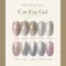 ARTiS di Voce 貓眼甲油膠8g CE060