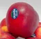 【零售】紐西蘭 DAZZLE 絢麗蘋果 ｜Juicy Jewel 就是這 精品水果