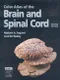 Color Atlas of the Brain and Spinal Cord