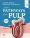 Cohen's Pathways of the Pulp