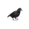 ARTIFICIAL BIRDS Crow / Small