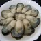 【嘉義區漁會】新鮮蚵仔牡蠣蚵狀元(600克x2包)(含運)
