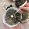 [ Campingflow ]  清爽草本香 & 寵物友善 | 天然草本防蚊包 不挑色隨機出貨