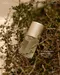 ARTiS di Voce x TOY's × INITY  香氛滋潤指緣油10ml  - 蜜羅木