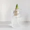 SPICE水培玻璃花瓶13公分