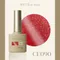 ARTiS di Voce 貓眼甲油膠8g CE090