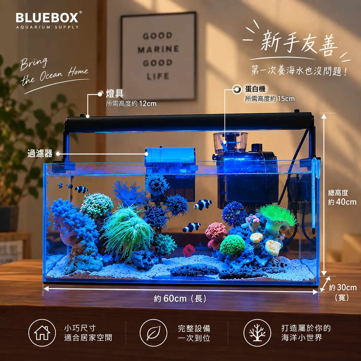 ZOOX - ZX高品質矽膠珊瑚基座