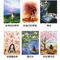森林女孩日記二(系列)