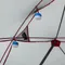 【MSR】Habiscape 6人帳 MSR-11596