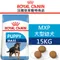 ROYAL CANIN法國皇家．SHN健康體型犬系列【MXP大型幼犬】15公斤(原ARG32)