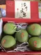 [預購] 麻豆老欉文旦禮盒