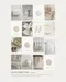 THE FAVORI 凝膠 - NUDI CORRECTING 4色