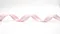 K1672 金銀蔥線直條織帶21MM (K1672 Stripe with Metallic Ribbon -21MM )