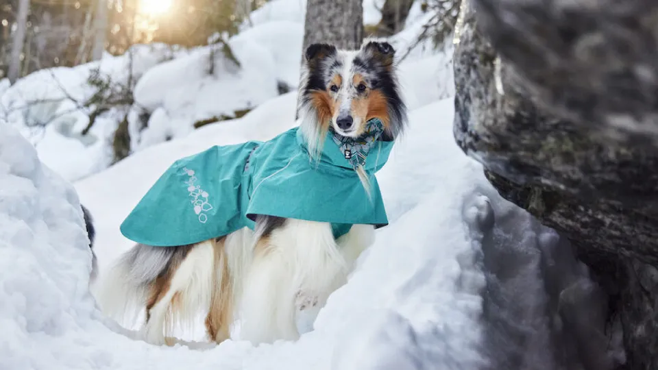 Hurtta雨衣＋保暖衣組合優惠