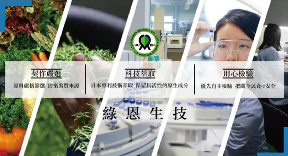 綠恩 美妍錠