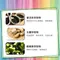 綠恩兒茶素EXX版