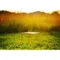 ［Kermit］克米特桌 - 白橡木/胡桃木｜露營桌 折疊桌 戶外桌