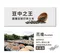 豆油皂200g｜素顏之本｜洗手｜洗臉｜洗澡｜醬油皂｜黑豆｜胺基酸｜香氛｜肥皂