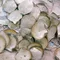 天然貝殼收納盤