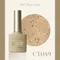 ARTiS di Voce 亮粉甲油膠8g CT049