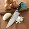 【缺貨】Wusthof Classic 20cm 三叉牌 廚刀 #4582/20
