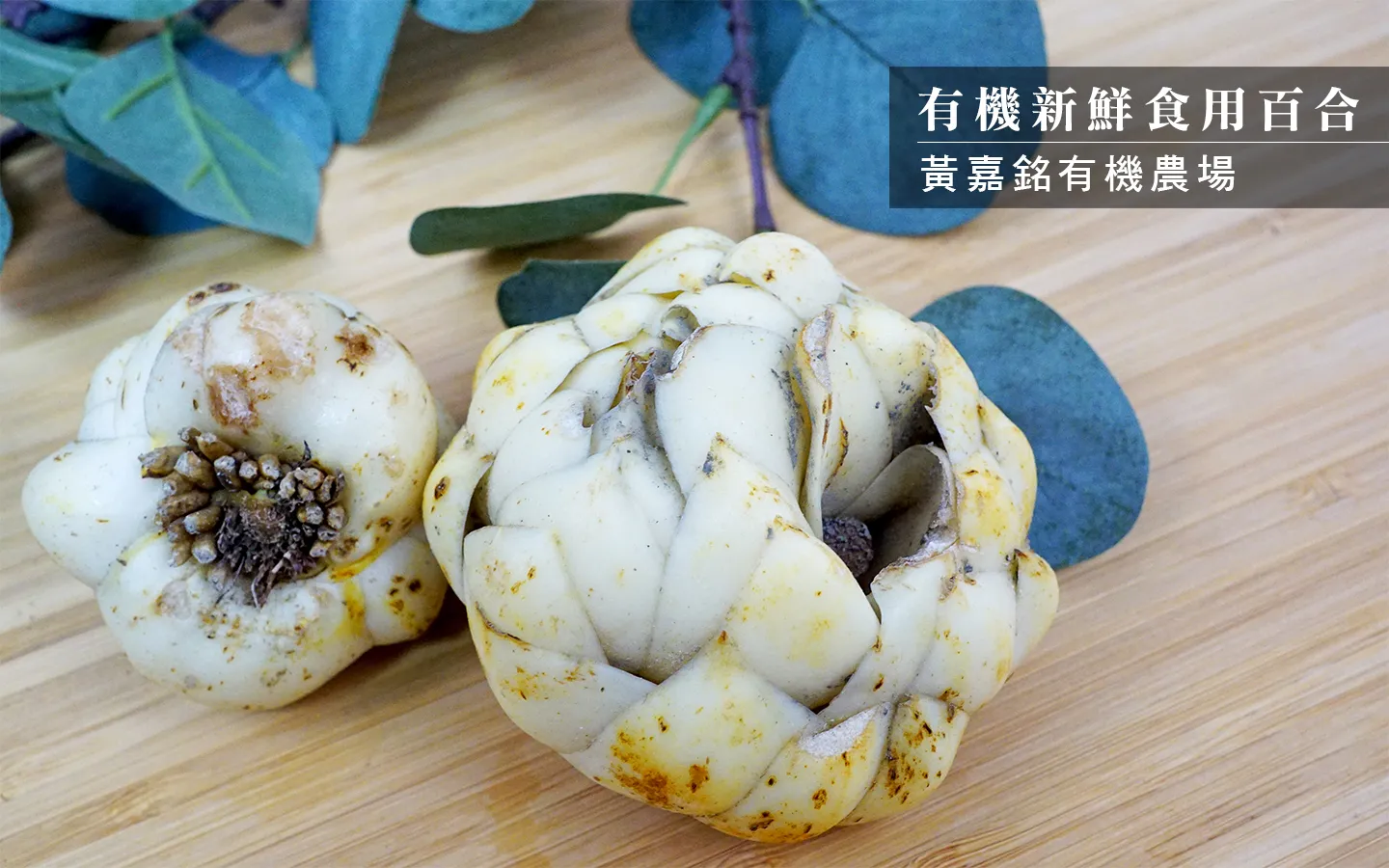 (2盒)有機新鮮食用百合-250g含運組