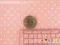 A1249 條紋鈕扣  (Stripes Button)