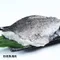 【梓官區漁會】極鮮石斑魚小資組(剖半輪切/清肉/頭丁)(含運)