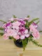 B2-37│鮮花桌花│新北市花店│蘆洲花店│婚禮布置│開幕花禮│喬遷花禮│榮任花禮│升遷花禮│訂花│送花